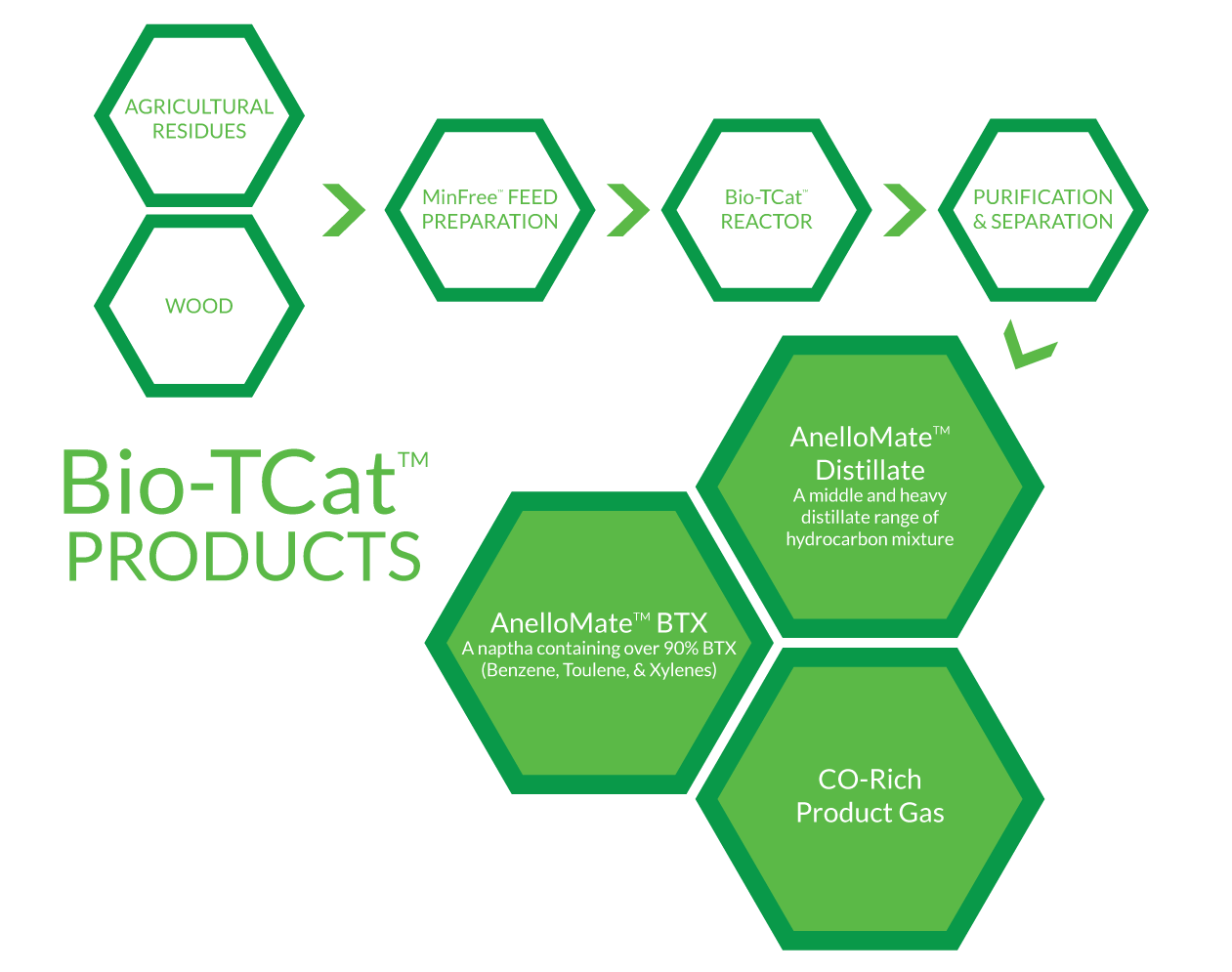 Bio-TCat™ for Renewable Chemicals and Fuels From Non-Food Biomass